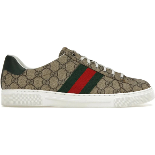 Ace GG Supreme Web Sneaker